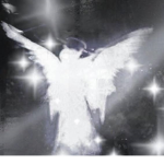 FAlRYDREAM