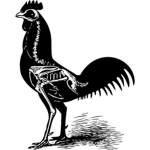 Cluck inc.