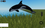 Orca's clan :3