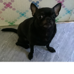 TME ; Revival
