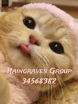 rainnyard