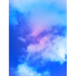 DawnFlower