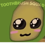 ToothBrush Squad