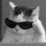 LATBMDSSLM