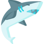 Sharkbyte development