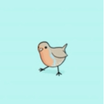 DancingBirds!