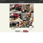 No robux for u just images >;p