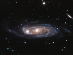 The Galaxy Bloodline