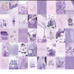 Spacious Lavenders