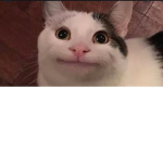 MEME TIME!!!!