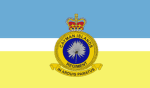 CI | Cayman Islands Regiment