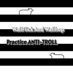 Yleksyz' WALLHOP & WALLFLICK TRAINING