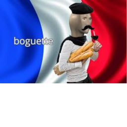 France simulator