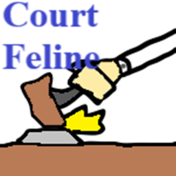 Court Feline