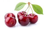 Group Margo Cherry's
