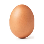 Thy Egg Kingdom