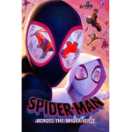 Spider amigo