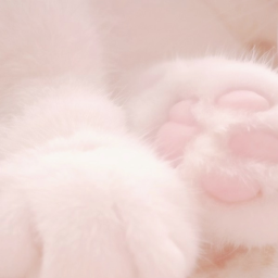 𝒜𝓂