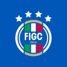 Serie A UEFA pitch icon