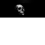 The Horror Movie Group