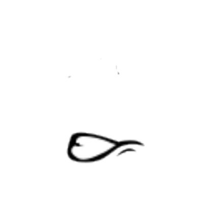 Mouth(Raig Face) Roblox decal
