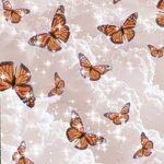 Butterfly.love._.