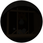 How did she get in there?