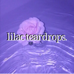 lilac teardrops.