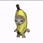 Froggyee