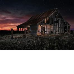 Joe's (official) Family Farm