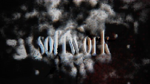 softwork 益