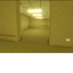 THE BACKROOMS M.E.G