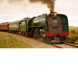 train game
