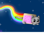 Kitty Tribe 6465