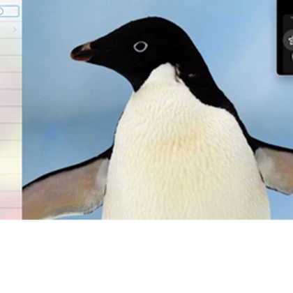 Pablo the Penguin Roblox group icon
