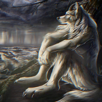 Enter if you like cats or are a lone wolf
