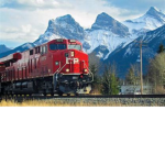 TrainMerch