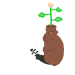 Flowerpot Chomik