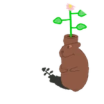 Flowerpot Chomik