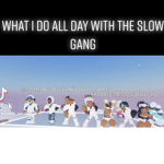 Slow gang group
