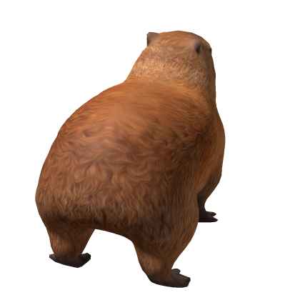 ✨   Capybara Pet Friend Cute Animal Chill Water 