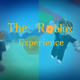The Roblox Experience