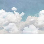 cows on clouds