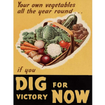 Vegetable's