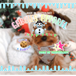 - gabbies apparel -