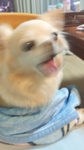 まりん