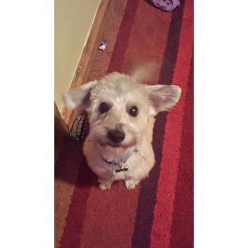  HIDE AND SEEK WATER EDITION WITH MAGIC CARPETS!