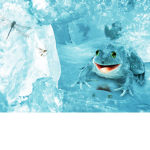 K oId Frogg Fan Group