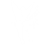 Pixie Dust Corporation