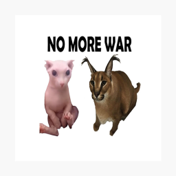 NO MORE WAR